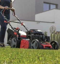 Scheppach Ms225-53 5911241903 Rasaerba Tagliaerba A Scoppio Semovente 225cc 53cm -Scheppach immagine 2023 05 10 114049