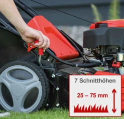 SCHEPPACH Ms173-51e Rasaerba A Scoppio Semovente Avviamento Elettrico 173cc 51cm -Scheppach immagine 2023 05 30 112453