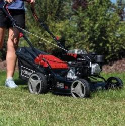 Scheppach Mp132-42 Rasaerba Tagliaerba A Scoppio A Spinta 3in1 132cc Taglio 42cm, Scocca In Metallo 22 Scheppach Mp132-42 Rasaerba Tagliaerba A Scoppio A Spinta 3in1 132cc Taglio 42cm, Scocca In Metallo -Scheppach immagine 2024 04 25 173022